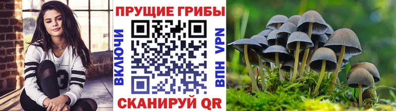 Псилоцибиновые грибы MAGIC MUSHROOMS Лесной